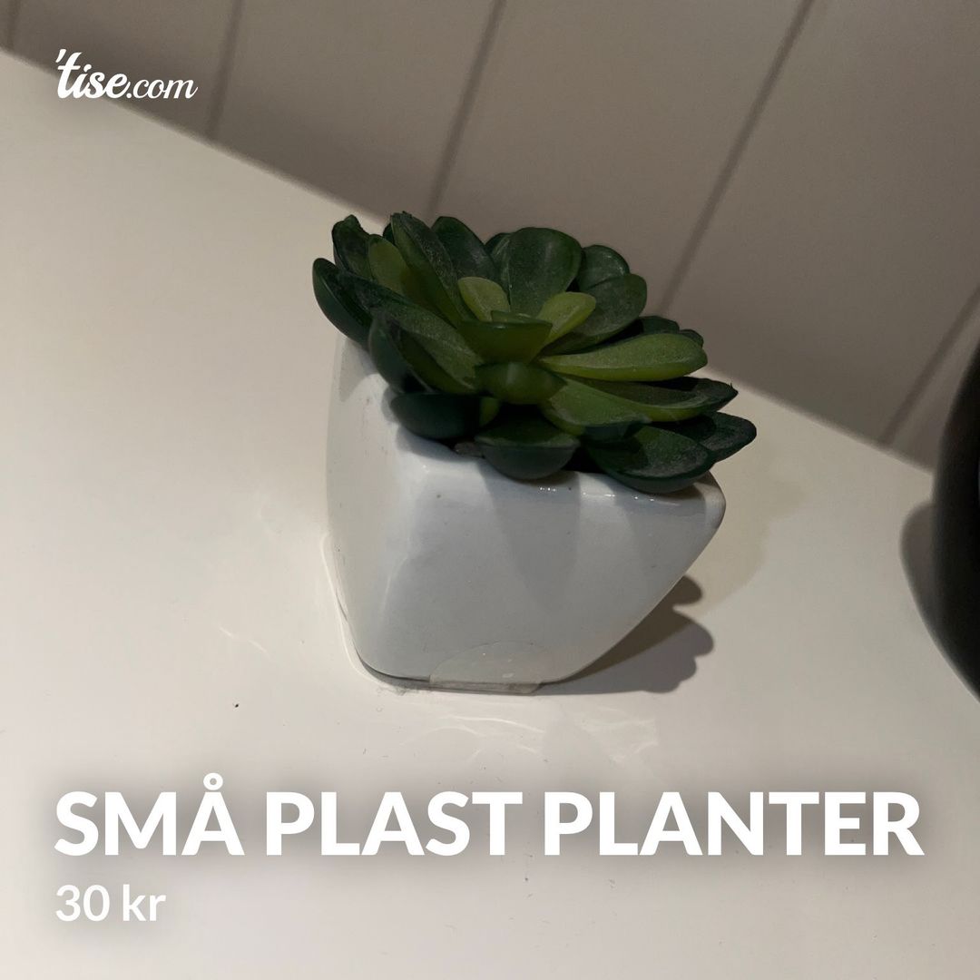 Små plast planter