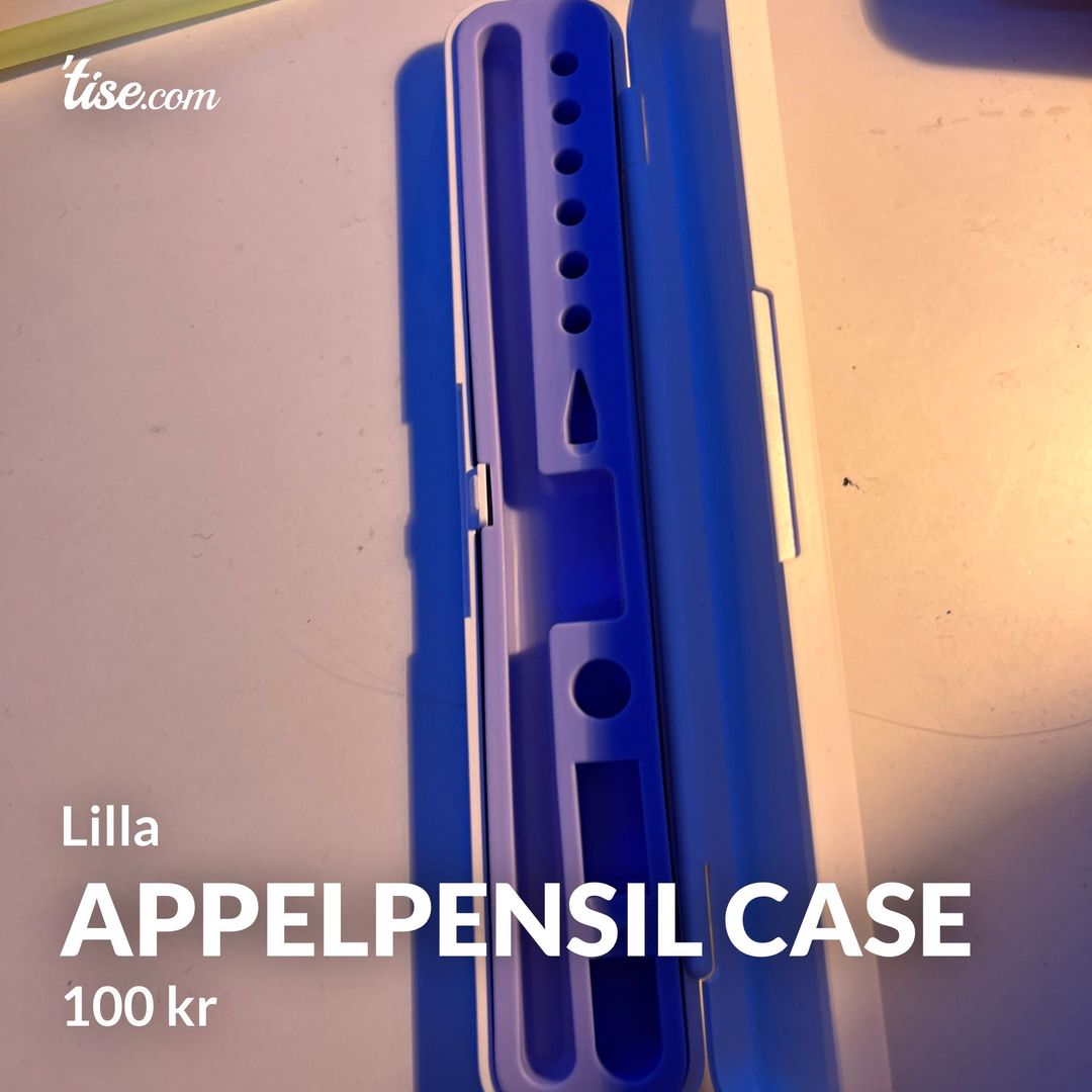 Appelpensil case