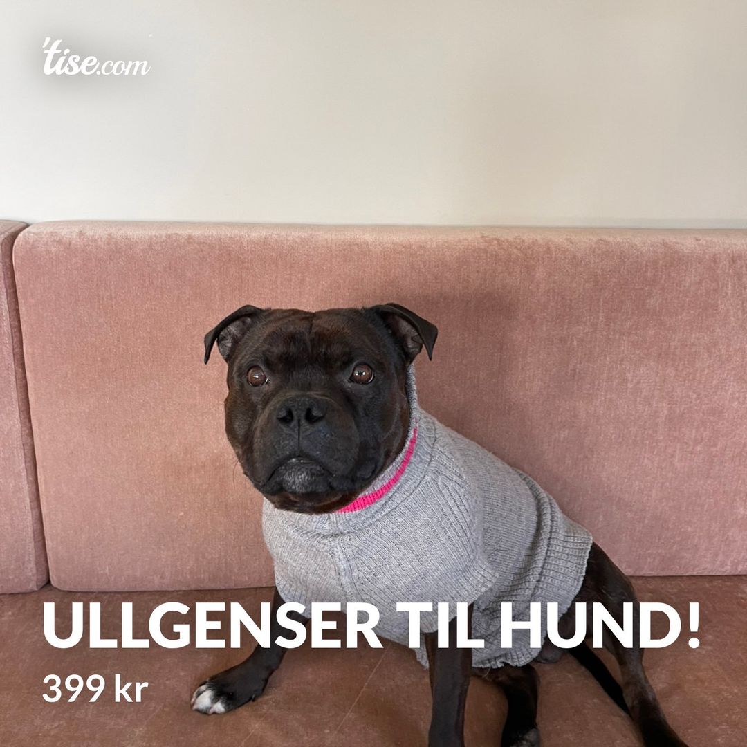 Ullgenser til hund!