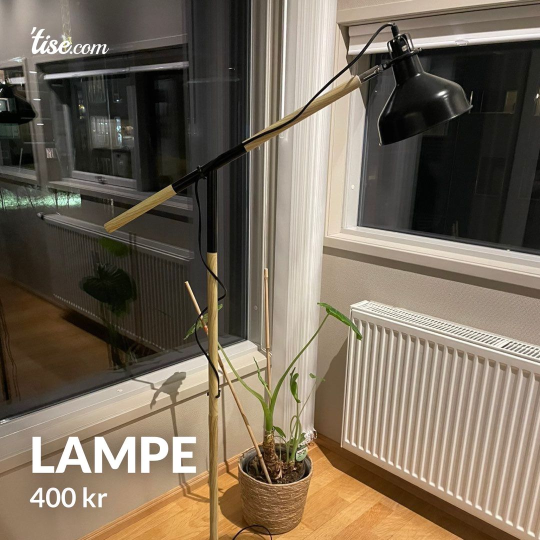 Lampe