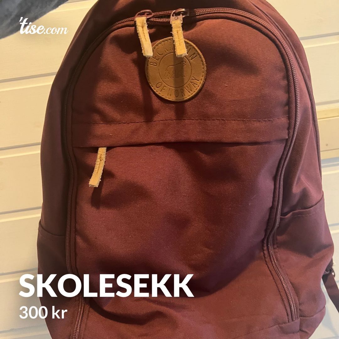 Skolesekk