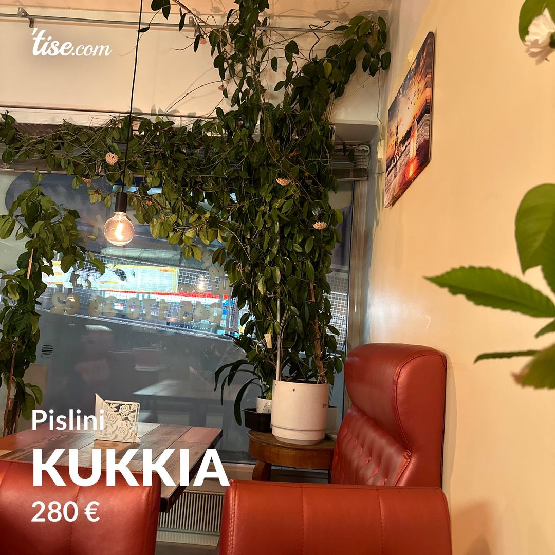 Kukkia