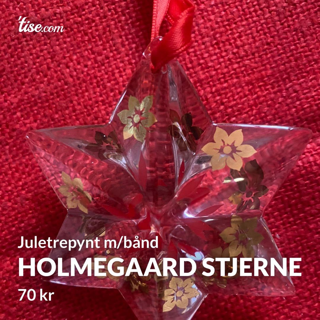 Holmegaard stjerne