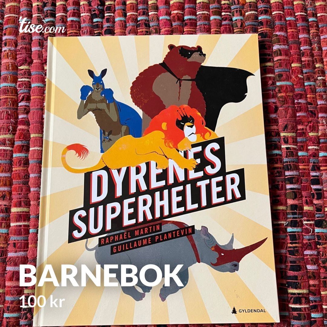 Barnebok