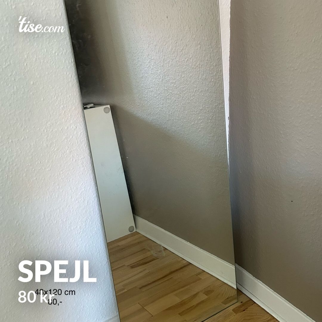 Spejl