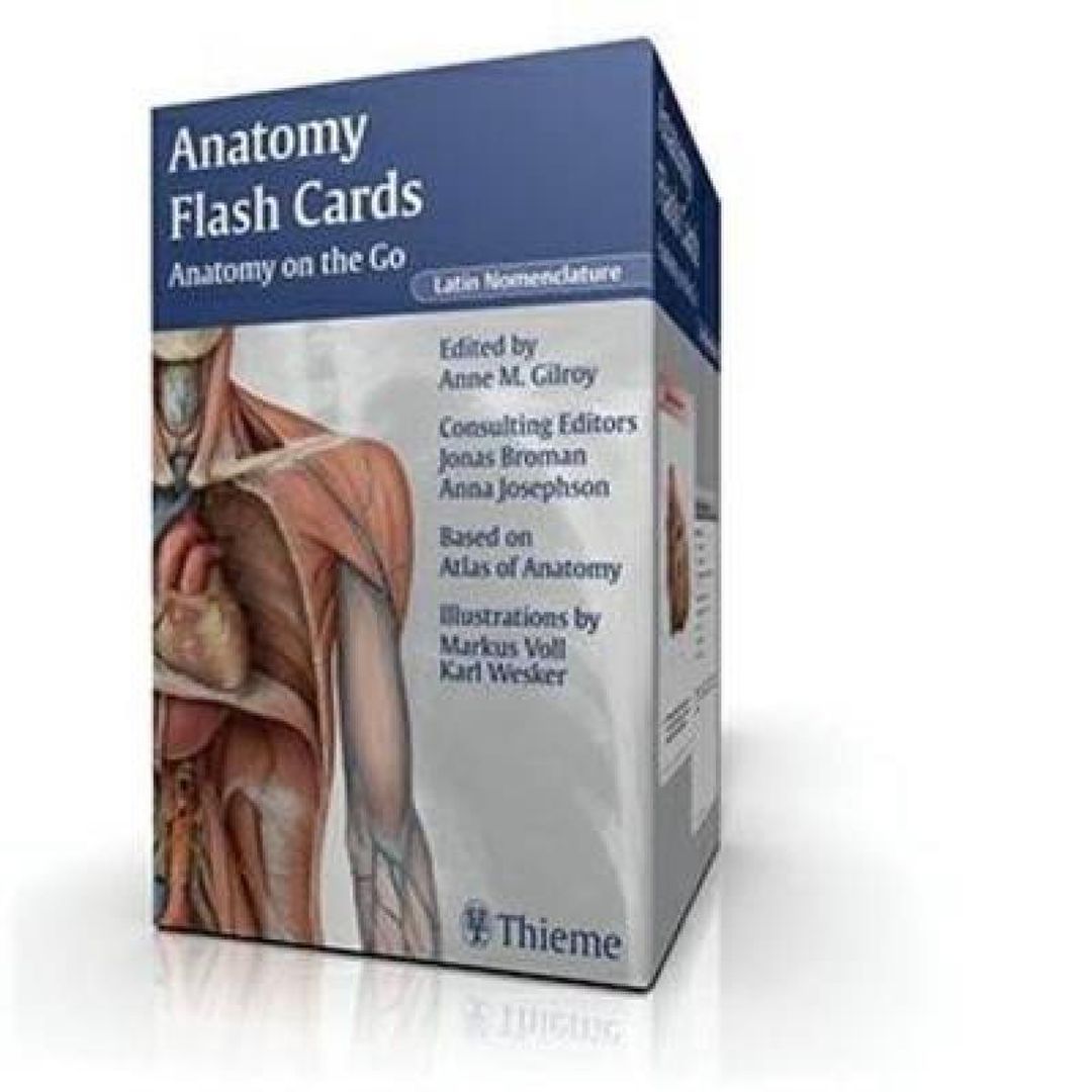 Anatomi flashcards