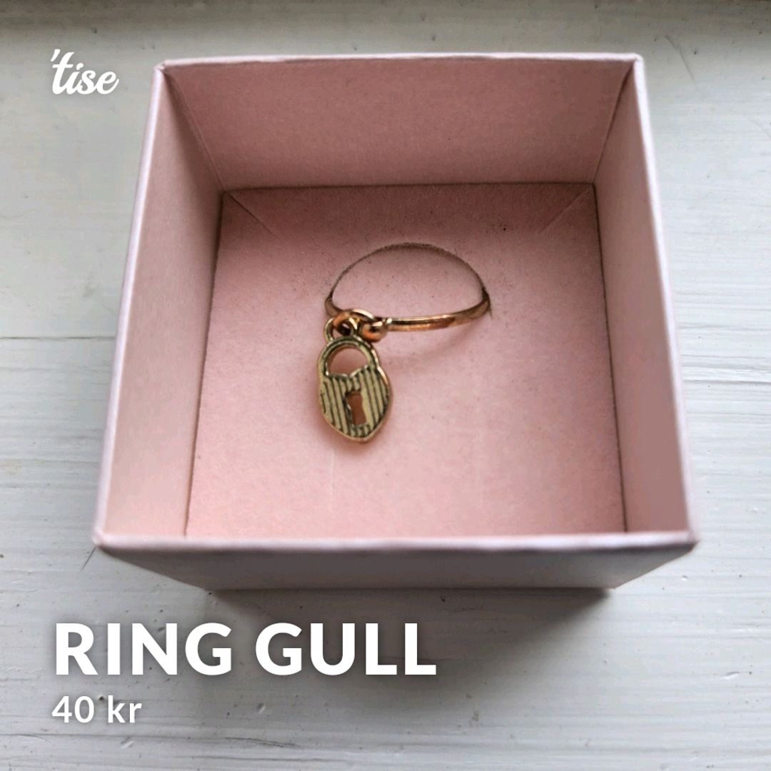 Ring Gull