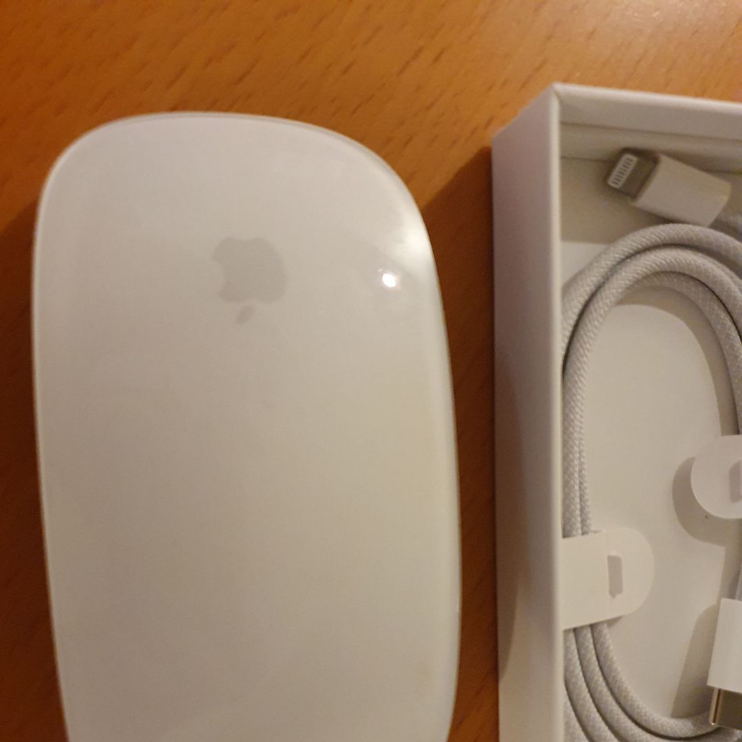 Apple Magic Mouse