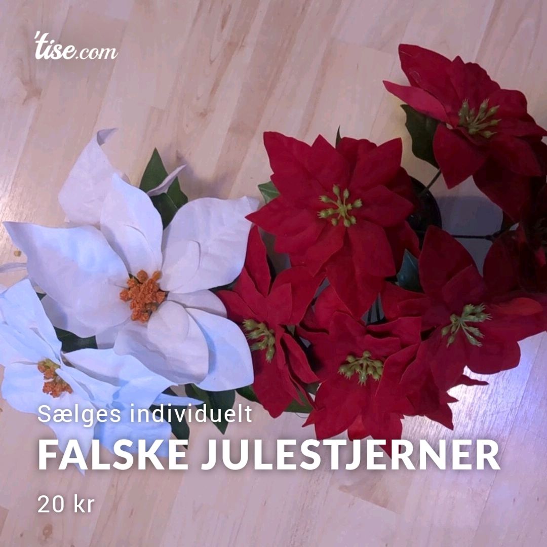 Falske Julestjerner