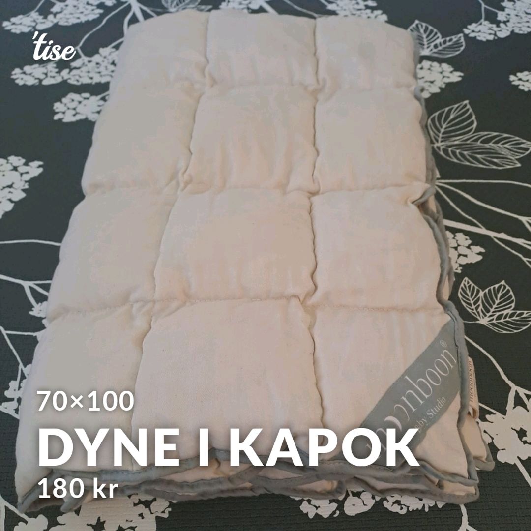 Dyne i kapok