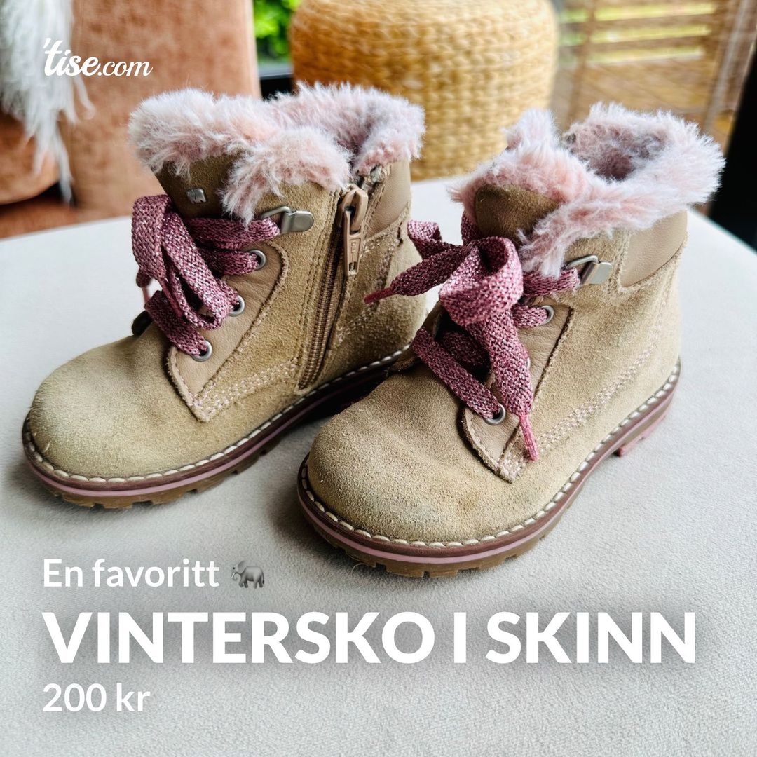 Vintersko i skinn