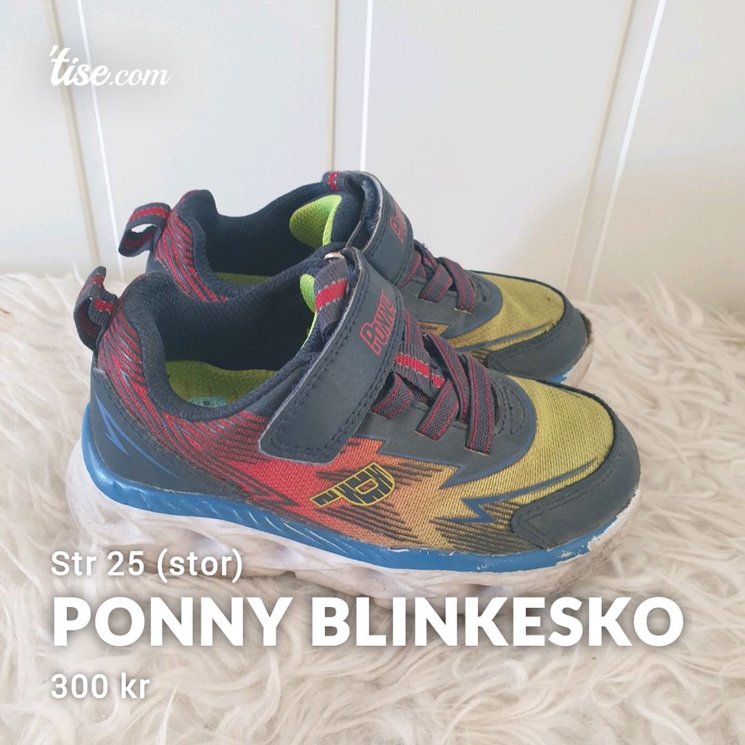 Ponny Blinkesko