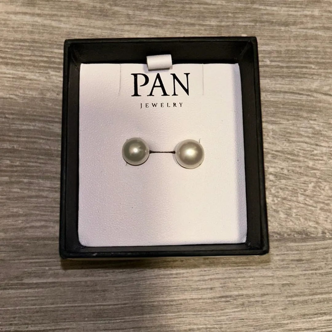 Pan øredobber