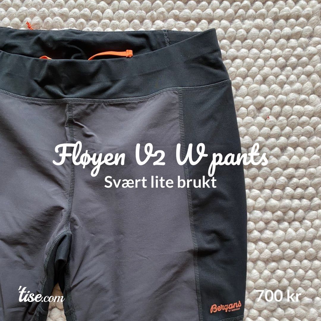 Fløyen V2 W pants