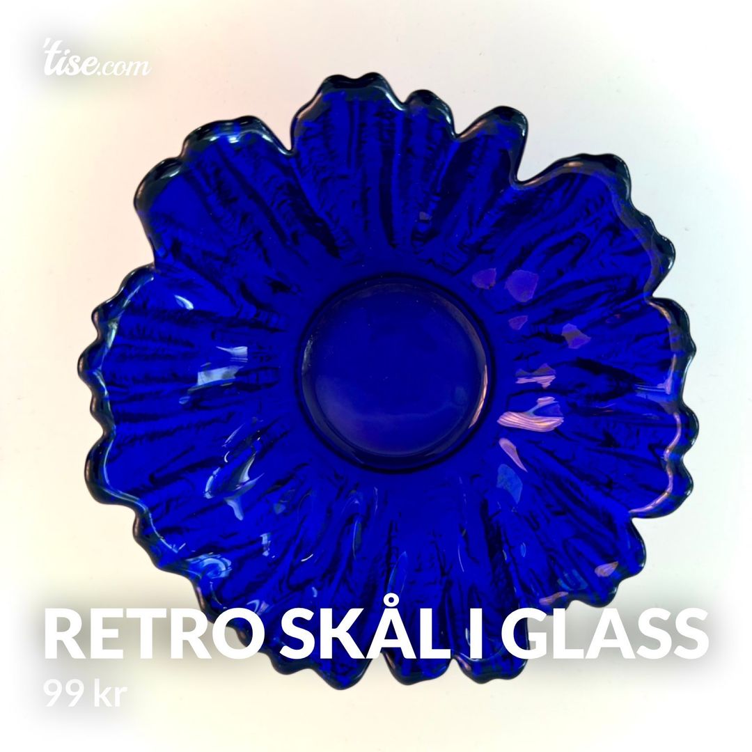 Retro skål i glass