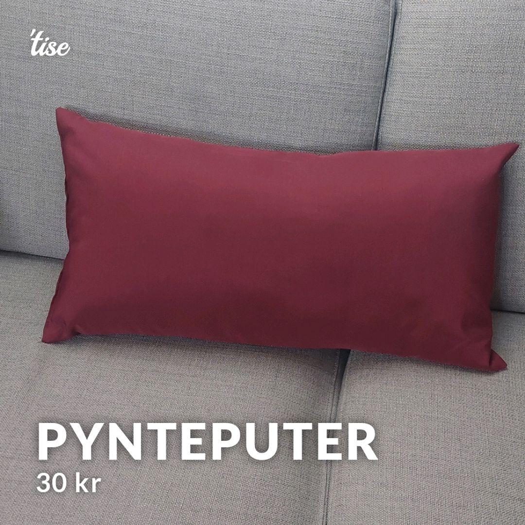 Pynteputer