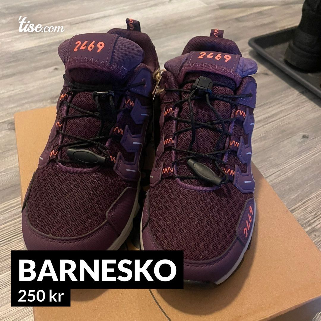 Barnesko