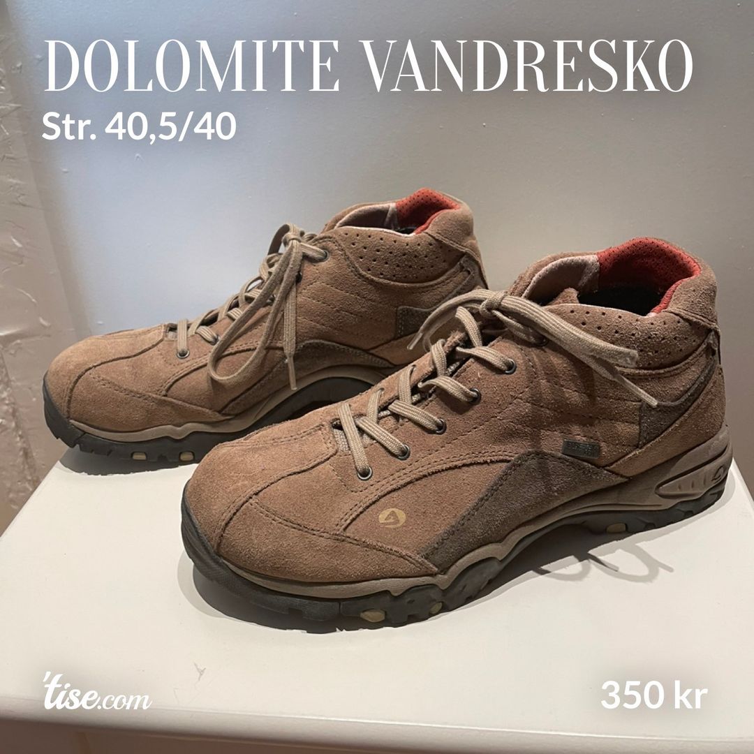 Dolomite vandresko