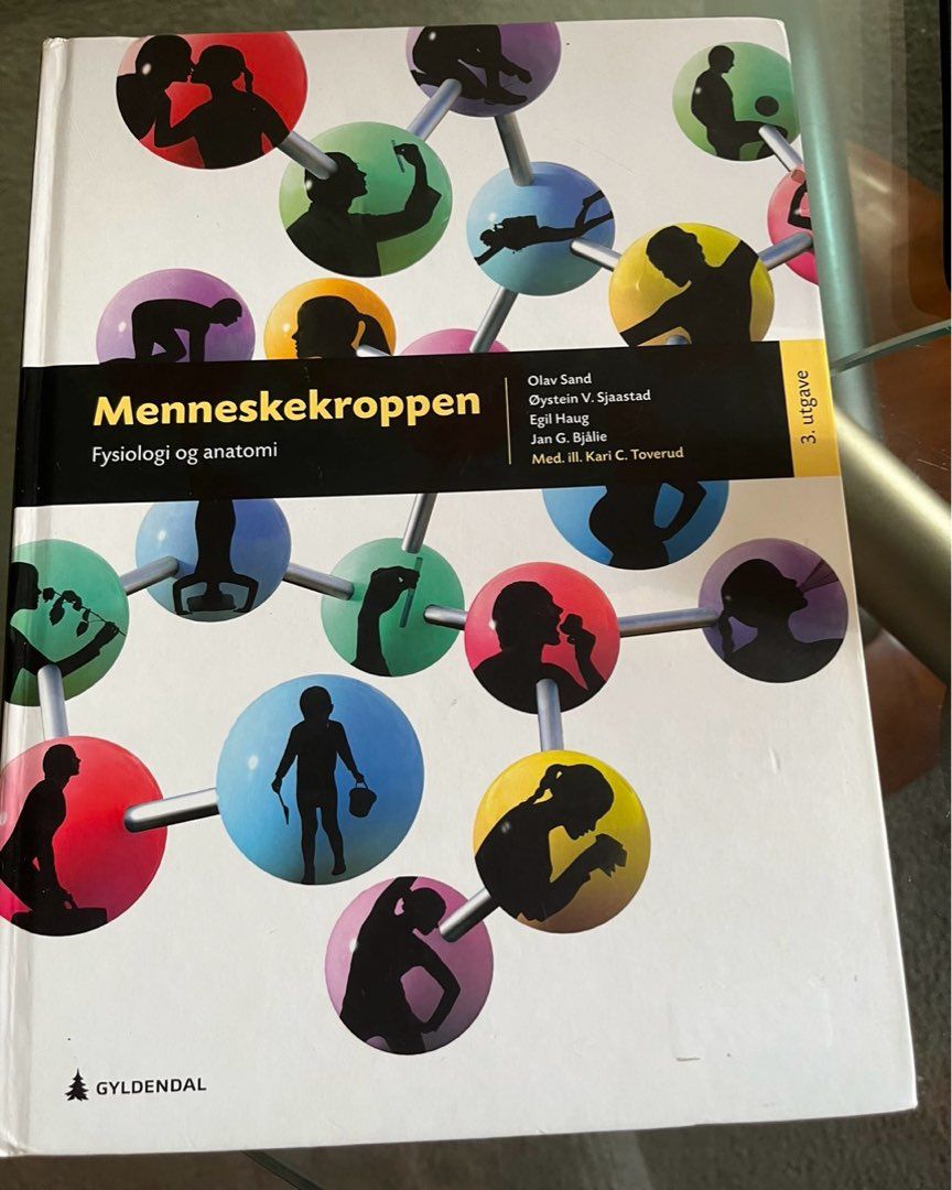 Mennneskekroppen