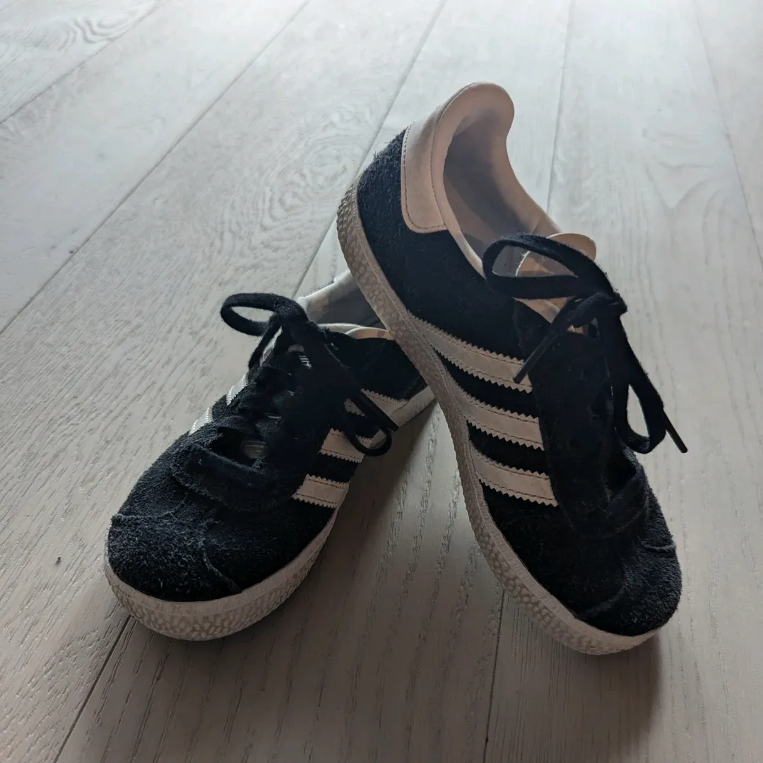 Gazelle Joggesko