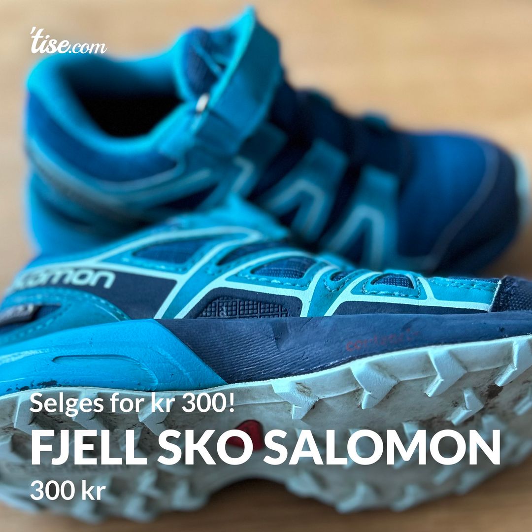 Fjell sko salomon