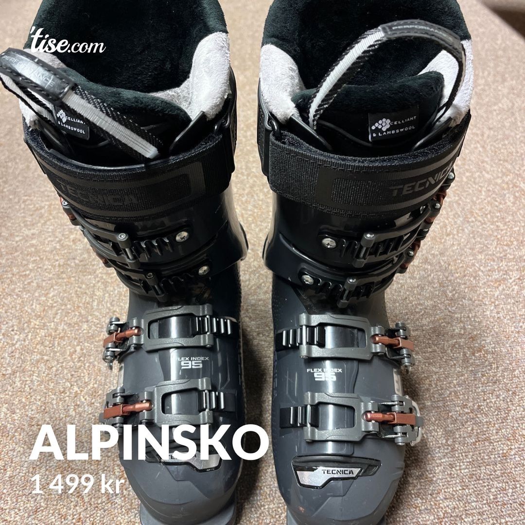 Alpinsko