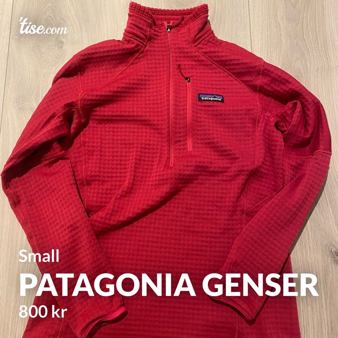 Patagonia genser