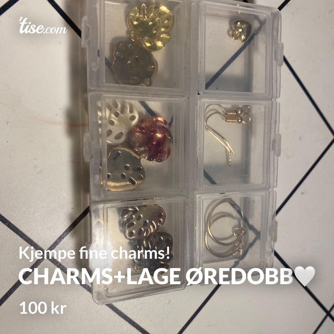 Charms+lage øredobb🤍