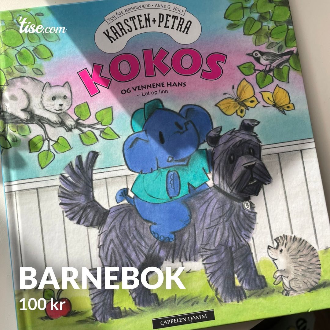 Barnebok