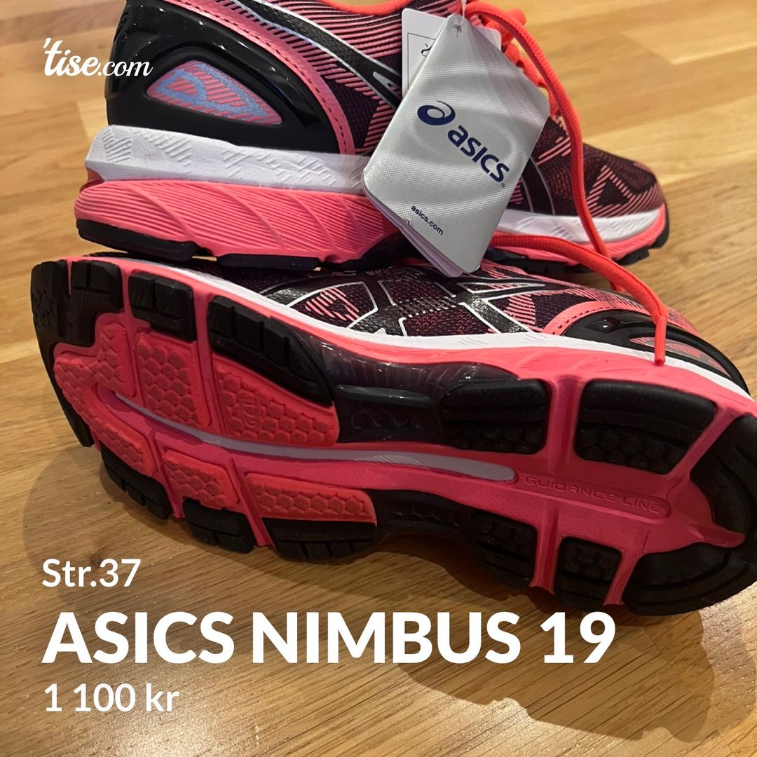 Asics nimbus 19