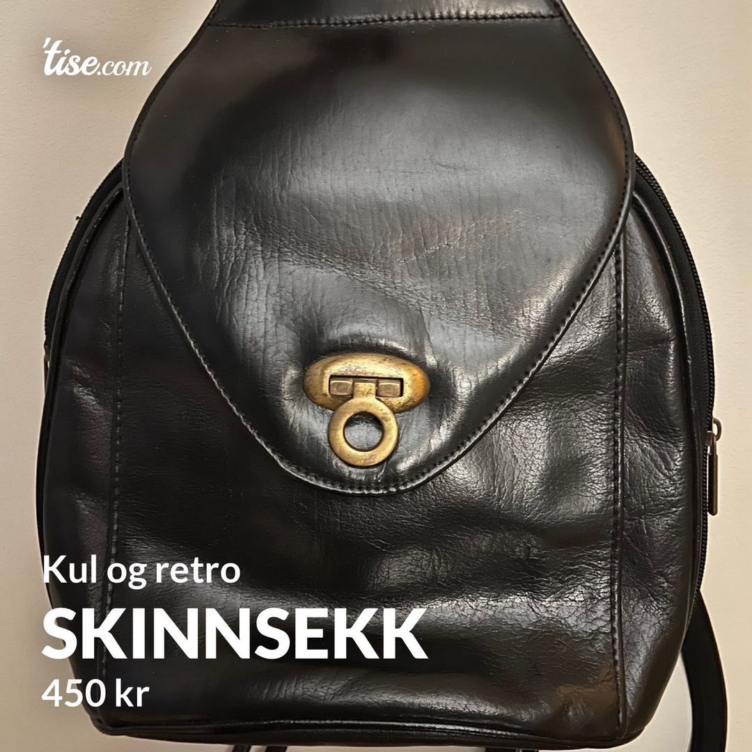 Skinnsekk