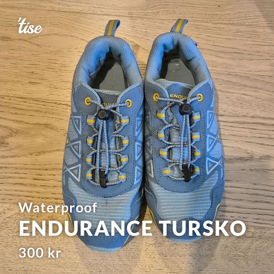 Endurance Tursko