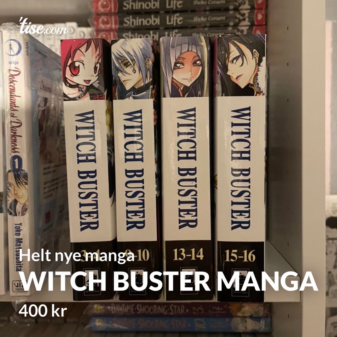 Witch Buster Manga