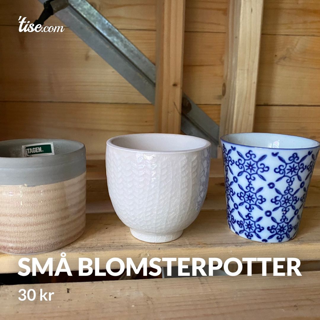 Små blomsterpotter