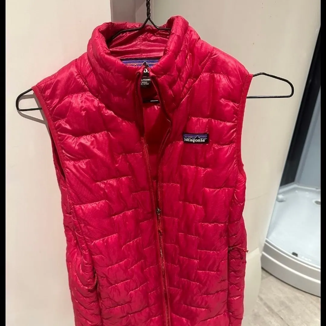 Patagonia vest