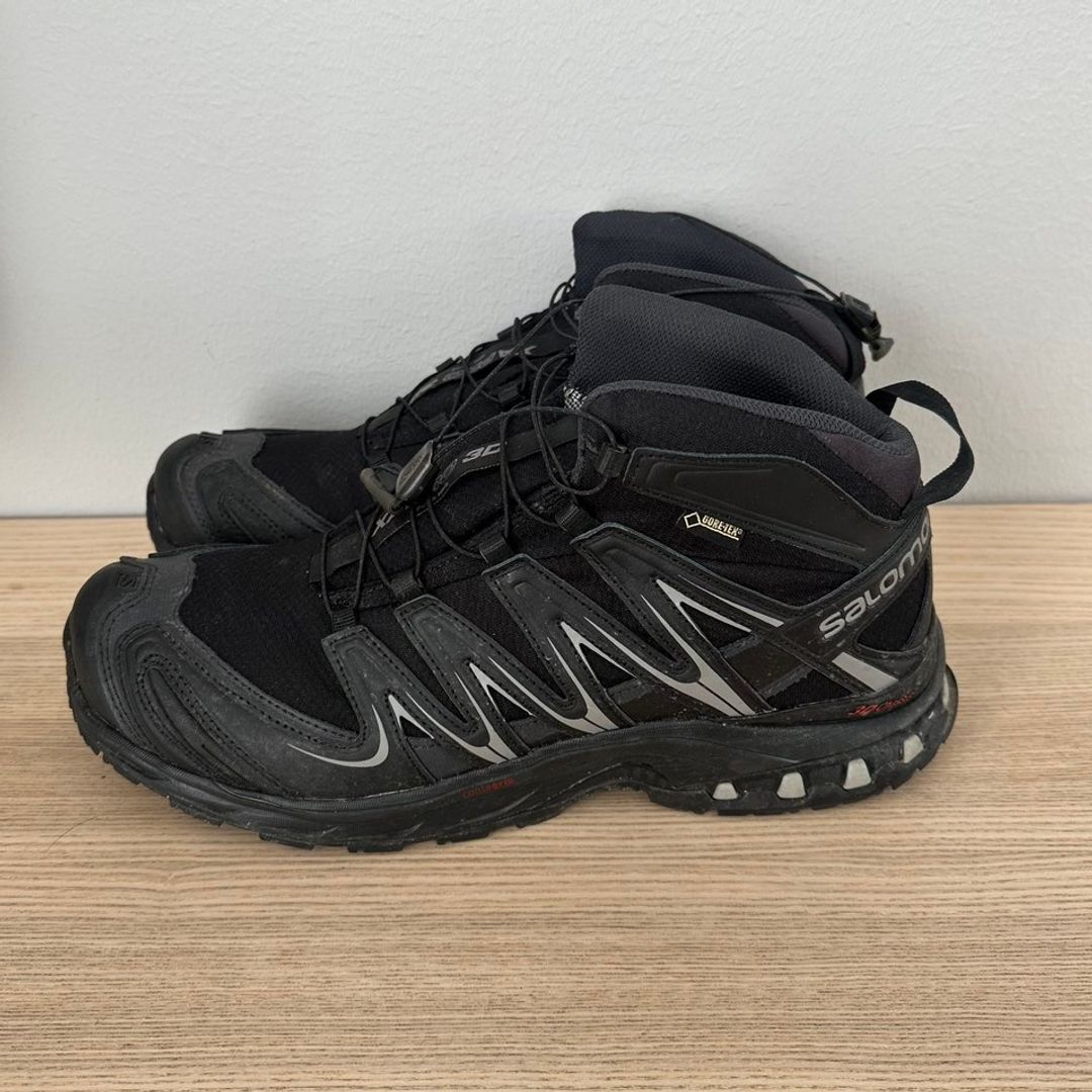 Salomon Mid GTX