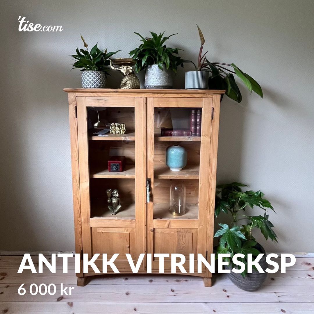 Antikk vitrinesksp