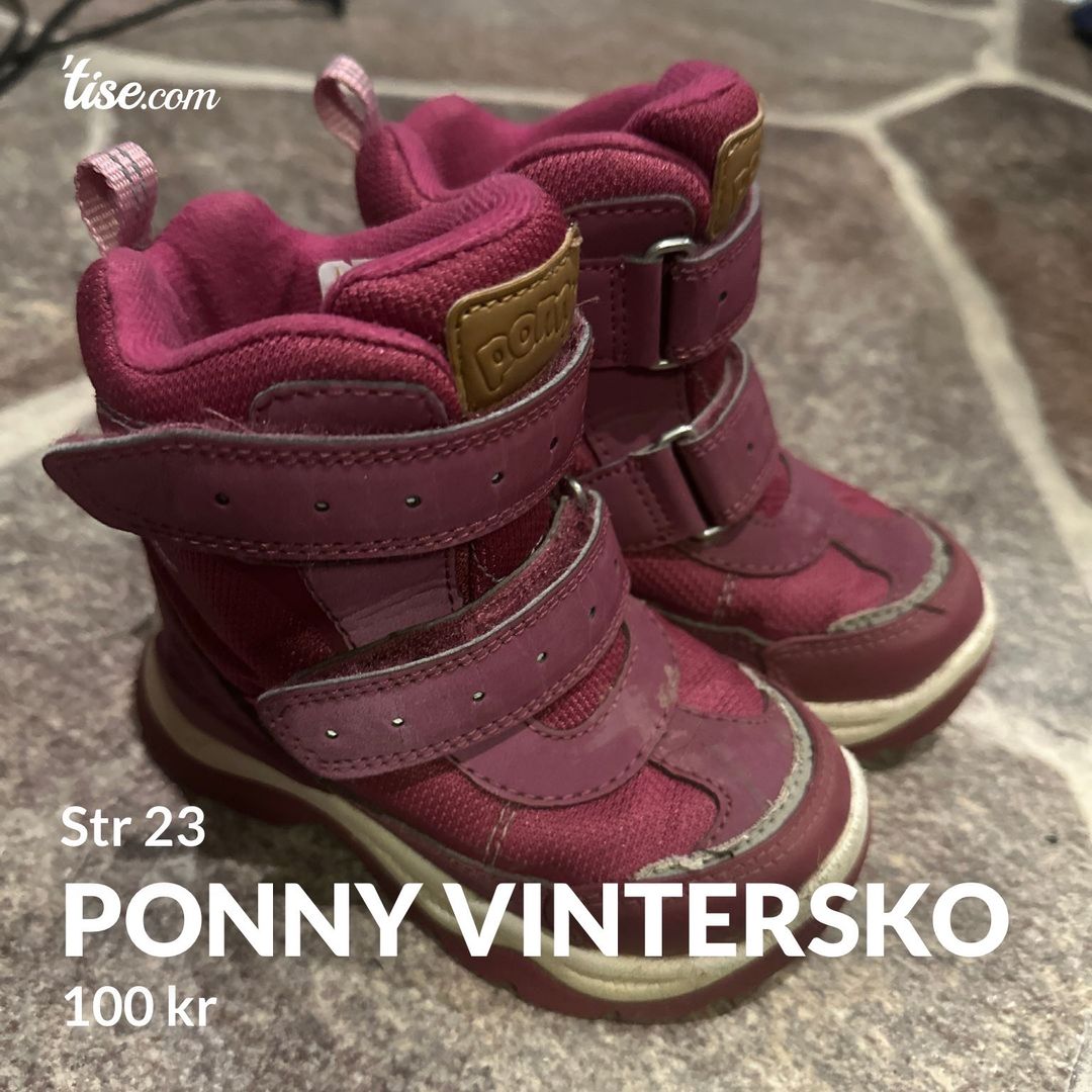 Ponny vintersko