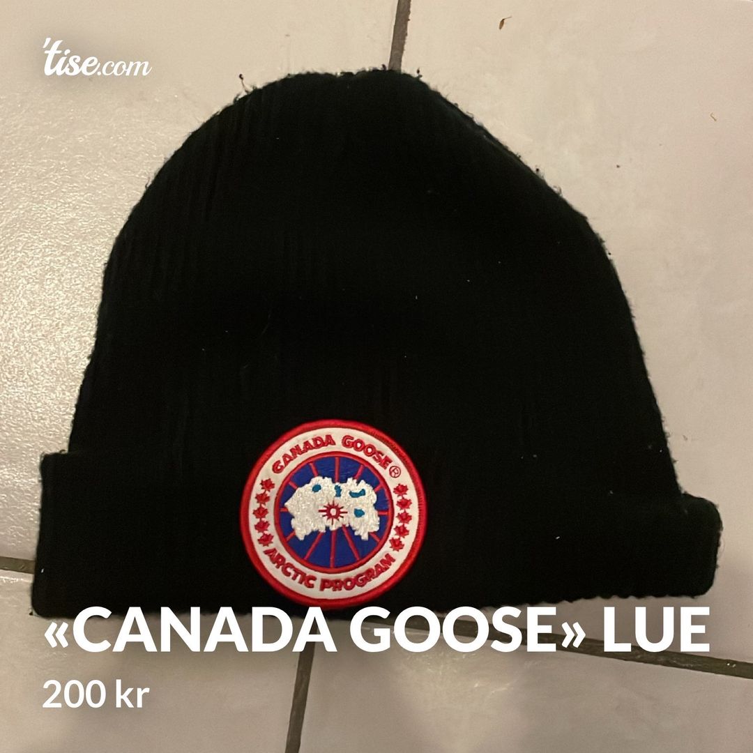 «Canada goose» lue