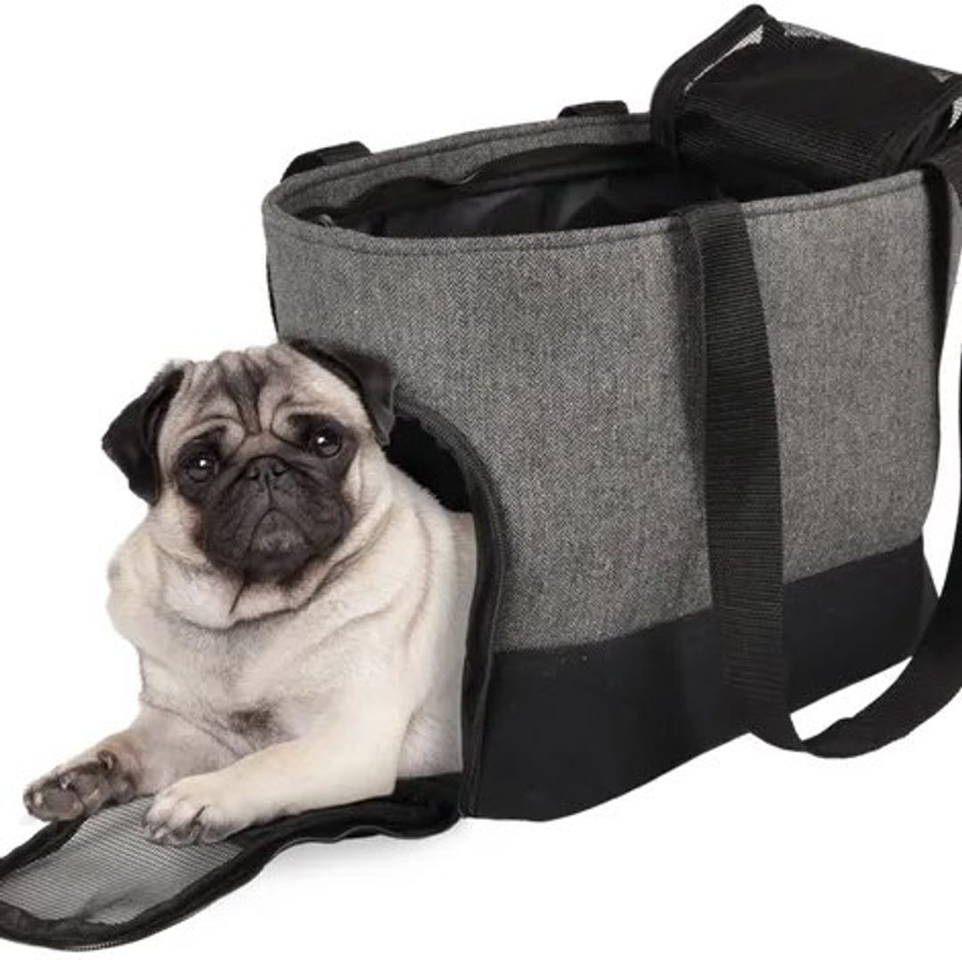 Pets carrying bag