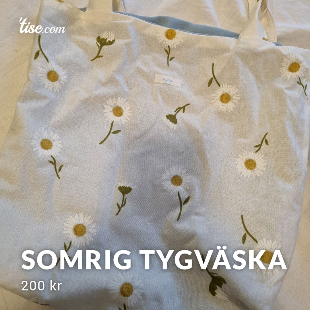 Somrig Tygväska