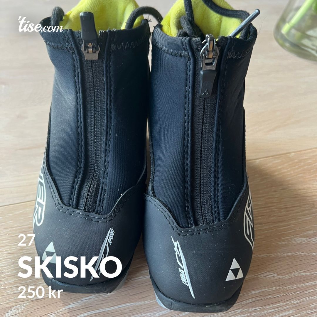 Skisko