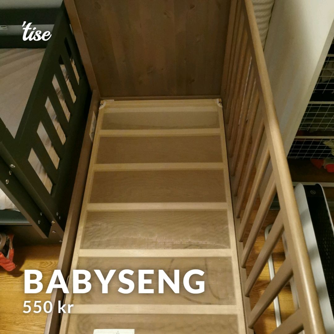 Babyseng