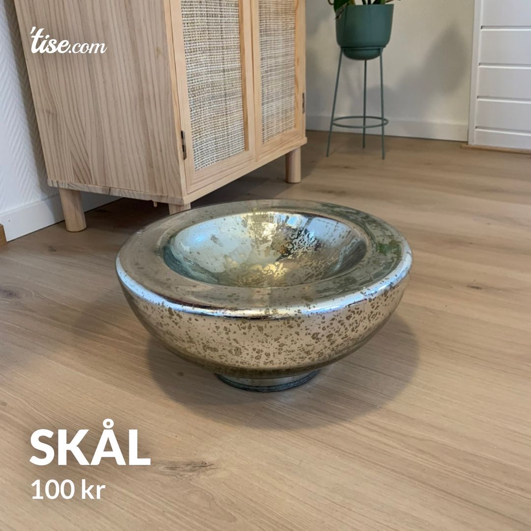 Skål