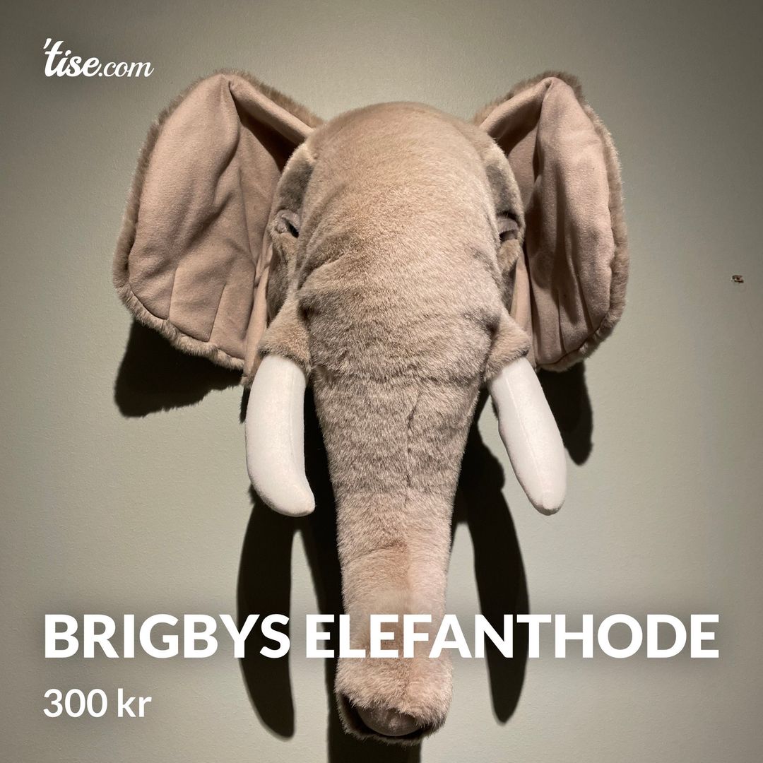 Brigbys elefanthode