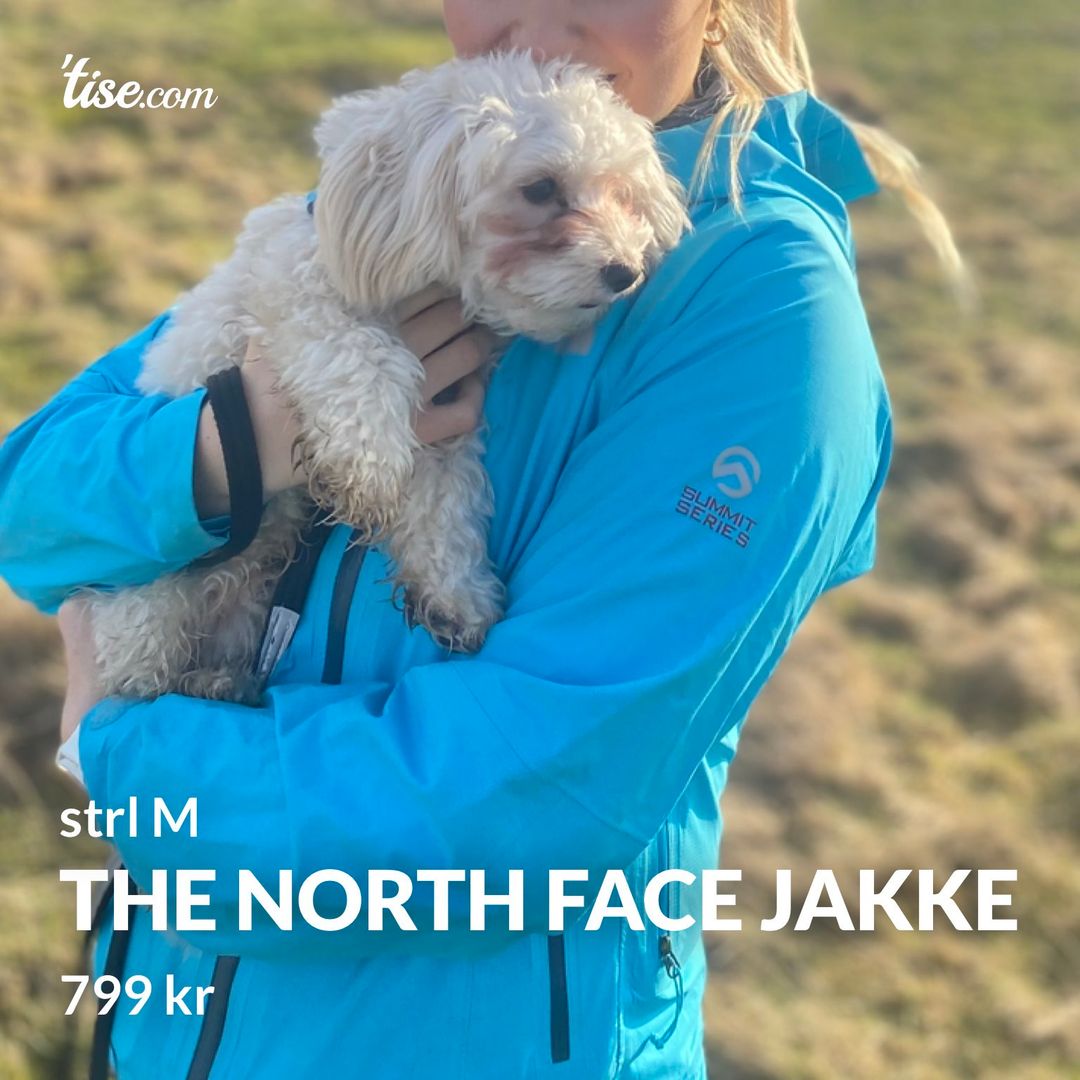 The north face jakke