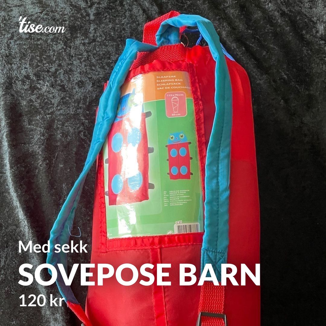 Sovepose barn