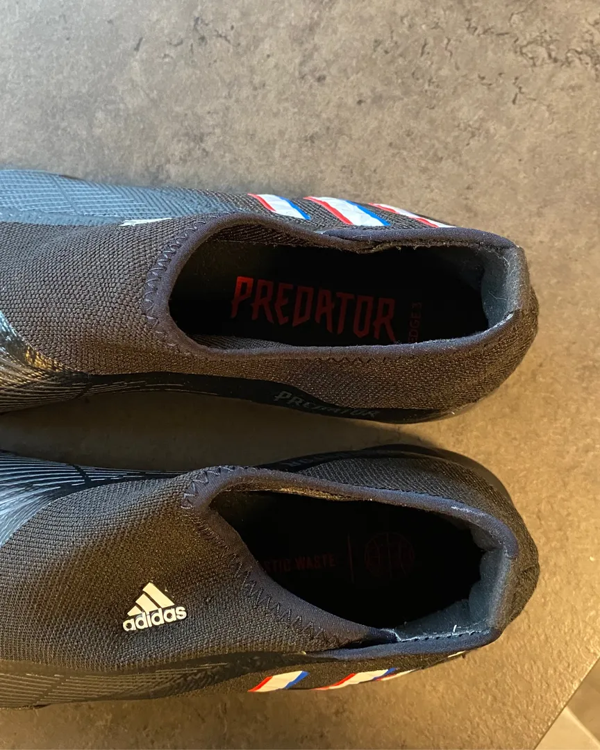 Addidas predators