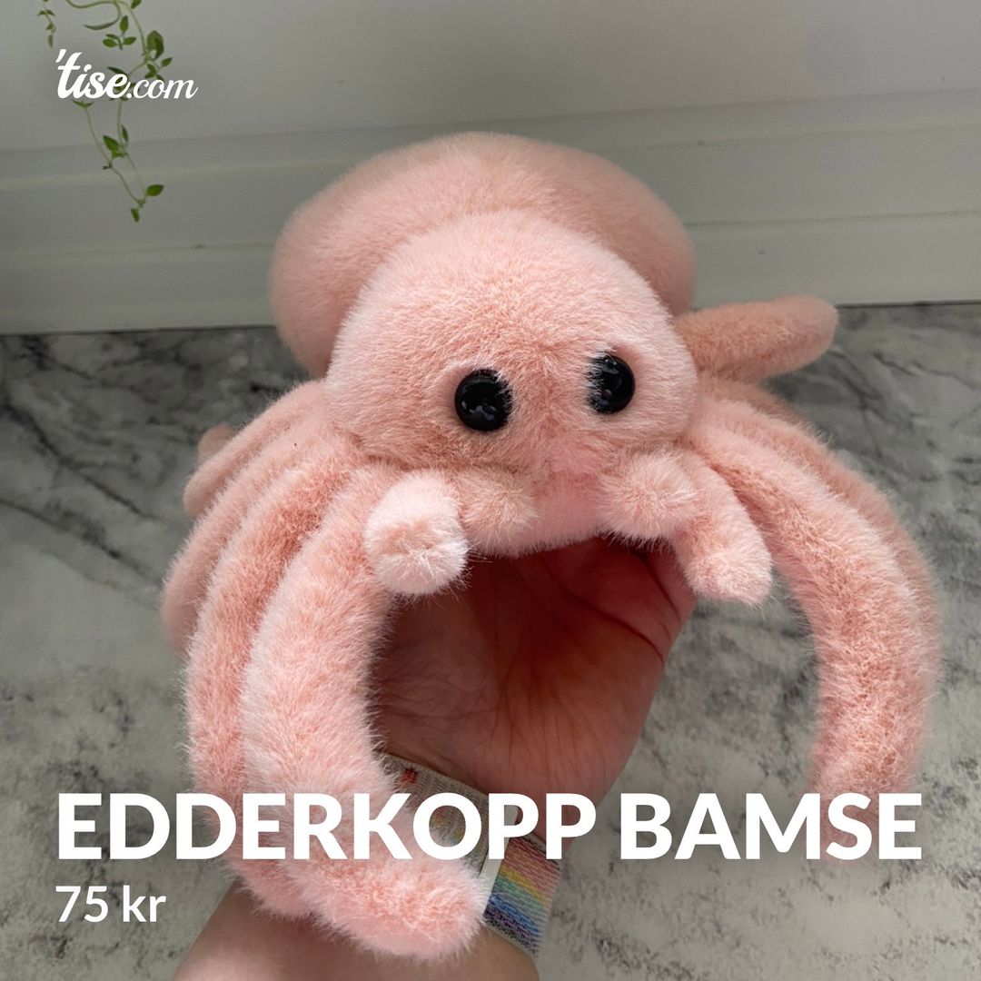 Edderkopp bamse