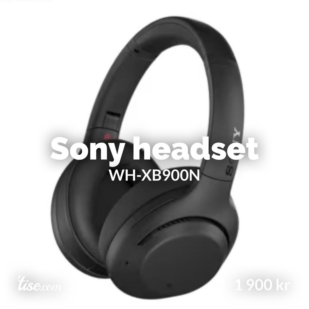 Sony headset